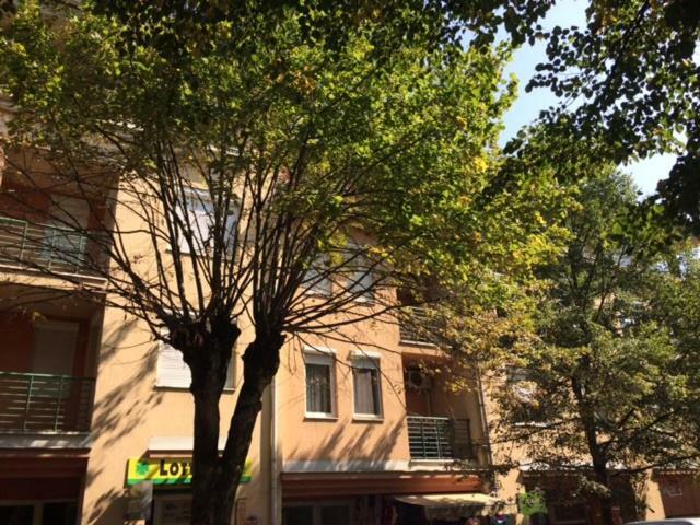 Rehab Apartment Heviz Exterior photo